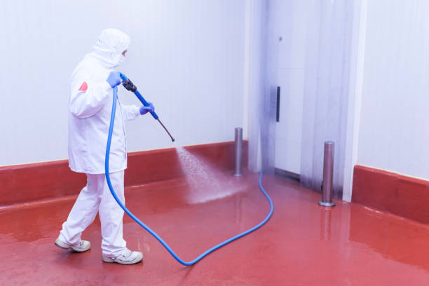 Best Playground Equipment Cleaning  in Stafford Courthouse, VA