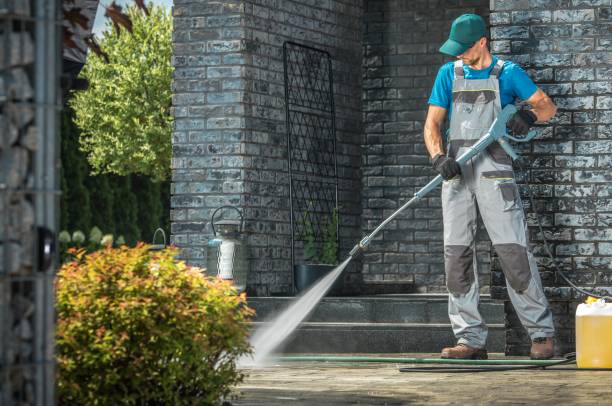 Best Driveway Pressure Washing  in Stafford Courthouse, VA